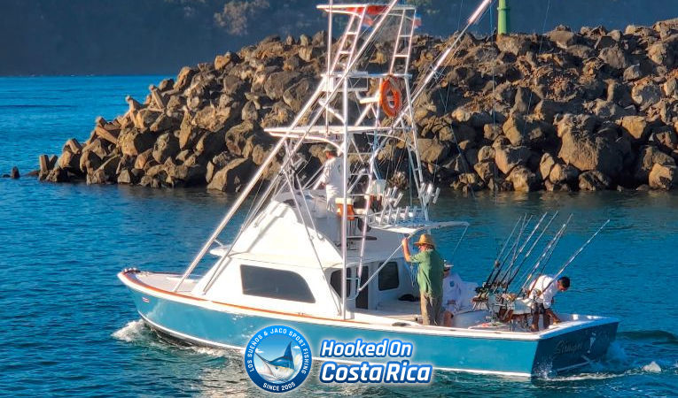 31ft Bertram Los Suenos Costa Rica fishing charter boat