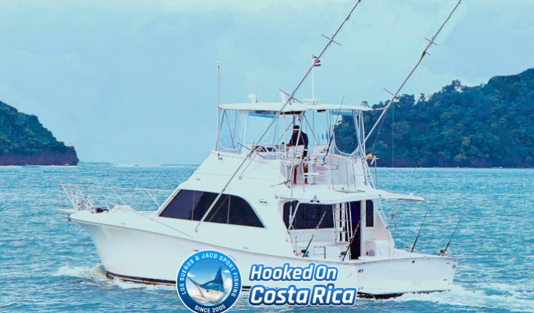 48-Ocean-Luxury-Sportfish-Herradura-Jaco-Hooked-On-Costa-Rica 48' Ocean Luxury Sportfish Boat in Herradura Beach, Jaco Costa Rica