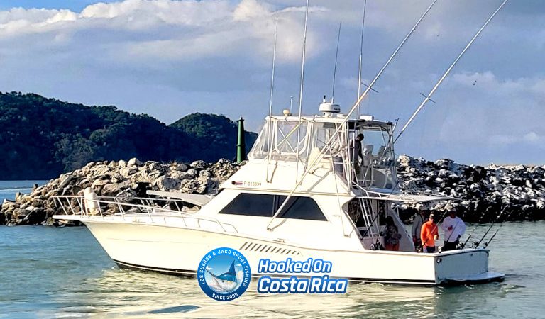 50' Sportfish charter Herradura Jaco Costa Rica