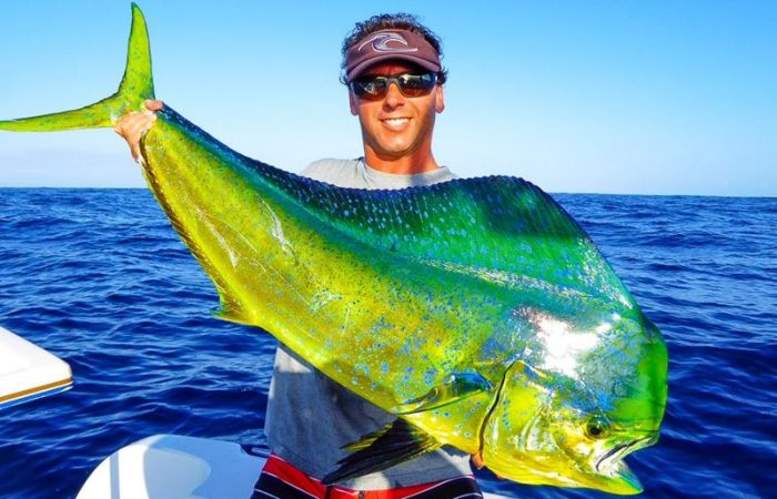 Oliver Lewis Los suenos fishing charters reviews