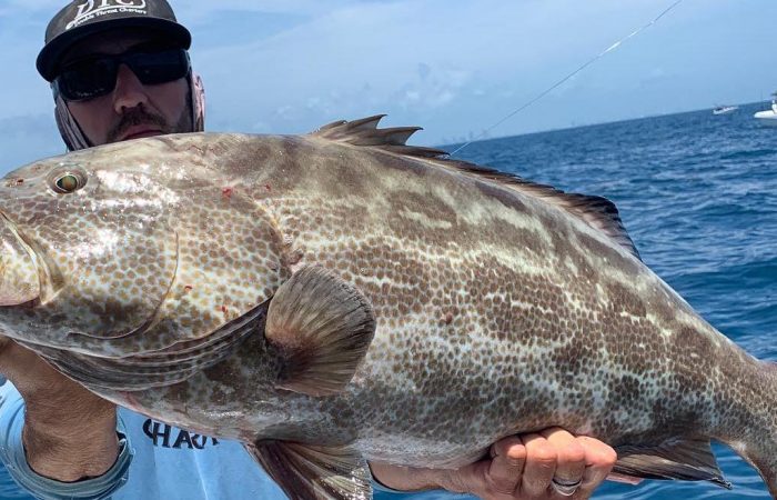grouper-fishing-Costa-Rica